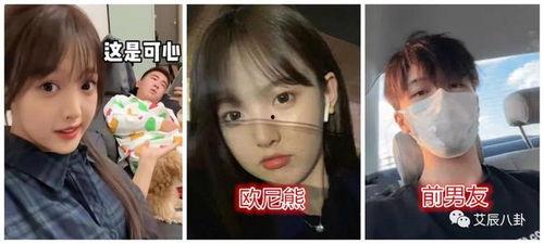 娱乐吃瓜的女主,娱乐圈幕后风云录