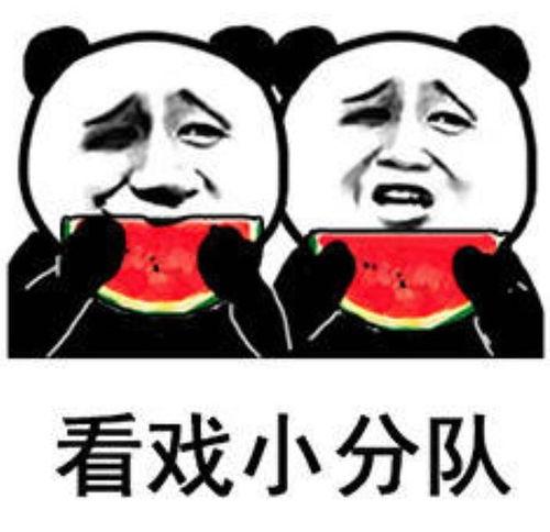 娱乐八卦吃瓜图片表情包可爱,娱乐八卦表情包大集合