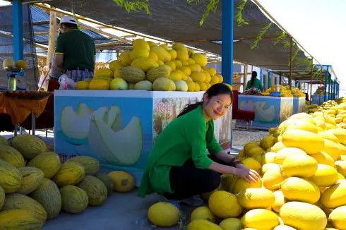 娱乐吃瓜州,揭秘娱乐圈背后的故事与八卦